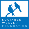 Sociable Weaver Sociable Weaver